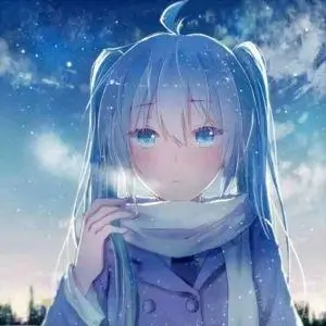 留言者晚班电车的头像